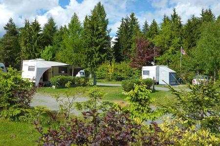 Waldcamping Erzgebirge 
