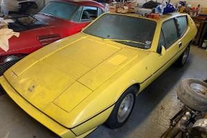 Das Auto, das Colin Chapman nicht wollte