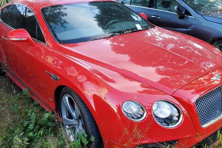 Gestohlene Luxusautos an Hanf-Plantage USA