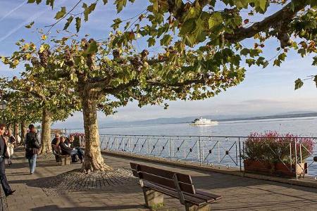 Meersburg 