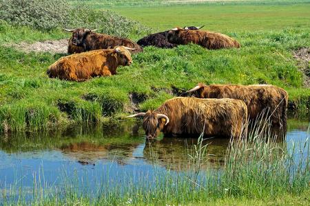 Sternenparks Niederlande