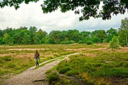 Sternenparks Niederlande