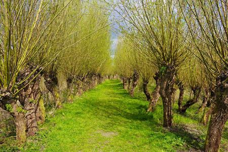 Sternenparks Niederlande