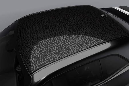 Dodge Challenger Black Ghost Last Call Sondermodell