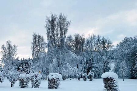 Odenwald-Camping in Limbach