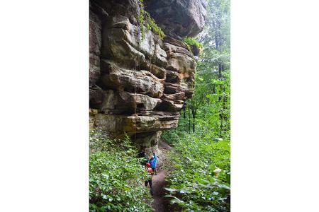 Benelux im FrŸhling Schlucht