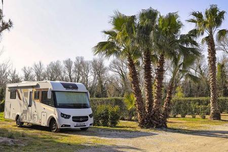 Wohnmobil, Stellplatz, Palmen, Frankreich, Provence