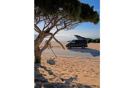 Reise Tarifa - Biotop