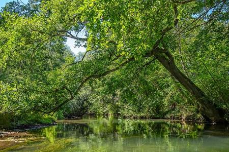 Wasserwandern Natur i