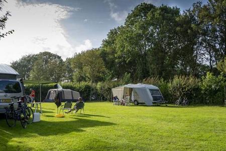 Campingvans, FahrrŠder, Menschen, Gras, BŠume, Himmel