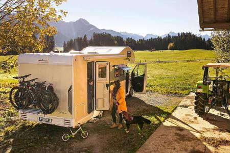 Alpaca Camping
