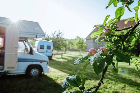 Landvergnügen Bolds Schnapsideen