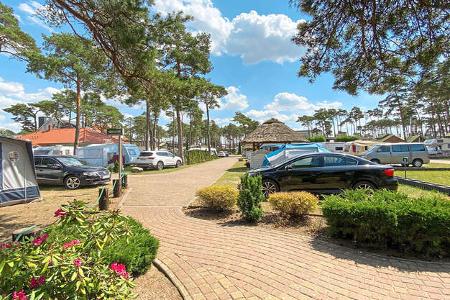 Campingplatz, Stra§e, Autos, Zelte, BŠume, BŸsche, Blumen, Himmel