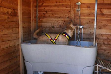 Campingplatz-Tipp Costa Brava: Hunddusche 