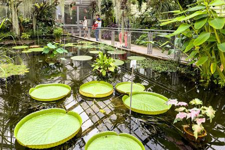 Jenas Botanischen Garten.