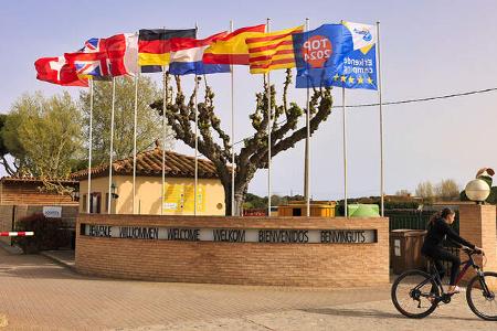 KŸste, Fahnen, Wind, Fahrrad, BŠume, Himmel