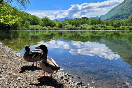 Camping-Tipps Alpen - Camping Ranocchio