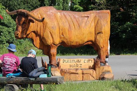 Reise Harz Stellplatz f