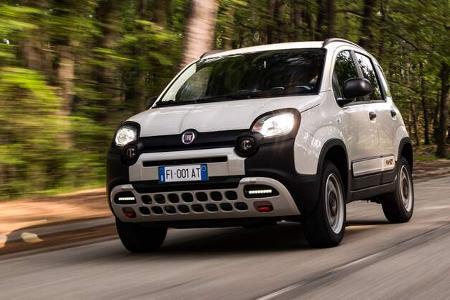 Fiat Panda 4x40 Sondermodell 2023