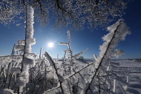 Eine Landschaft in Weiß - für viele bleibt die ein weihnachtlicher Traum.