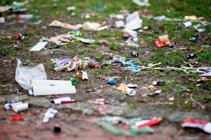 Laute und helle Silvesternacht stört Wildtiere