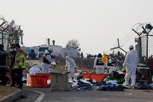 Flugzeug in Südkorea zerschellt - 179 Tote