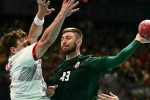 Ilic verlässt Hamburgs Handballer