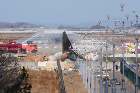 Flug 7C2216 meldete vor der Bruchlandung einen Vogelschlag.
