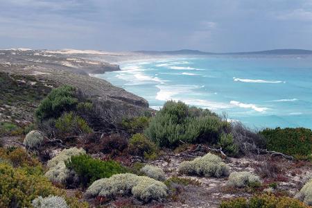 Das Opfer stammt aus dem wenige Hundert Kilometer entfernten Port Lincoln. (Archivbild)