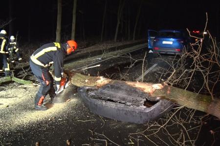 Im Landkreis Emsland fuhr eine Autofahrerin mit ihrem Wagen gegen einen Baum. Sie wurde leicht verletzt.