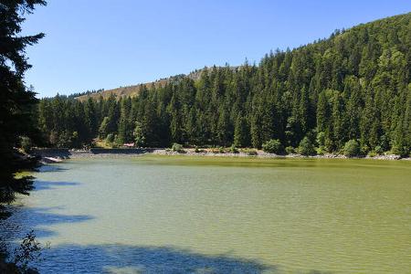 Campingreise Elsass f