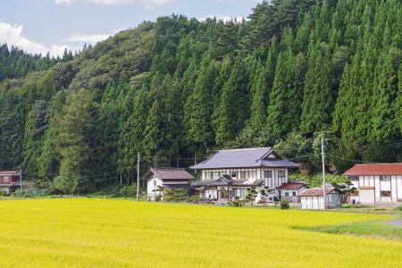 Japan, Reisfelder