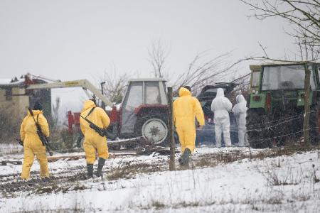 Nach dem Ausbruch der Maul- und Klauenseuche müssen weitere Tiere getötet werden - Personen in Schutzanzügen sind im Einsatz. Nach dem Ausbruch der Maul- und Klauenseuche müssen weitere Tiere getötet werden - Personen in Schutzanzügen sind im Einsatz.