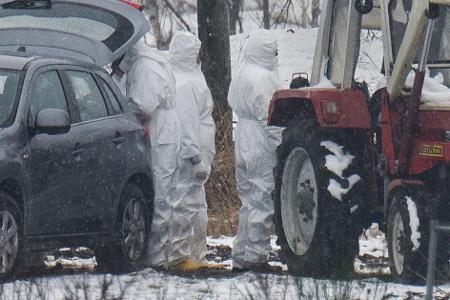 Nach dem Ausbruch der Maul- und Klauenseuche laufen Untersuchungen im Kreis Märkisch-Oderland