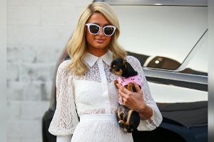 Paris Hilton nimmt nach Waldbränden einen Pflegehund auf