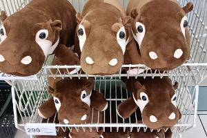 Ein Hippo-Mädchen als Kassenschlager: Das Phänomen Moo Deng