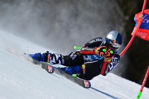 Riesenslalom: Robinson siegt - Dürr mit "Spaß" im 2. Lauf