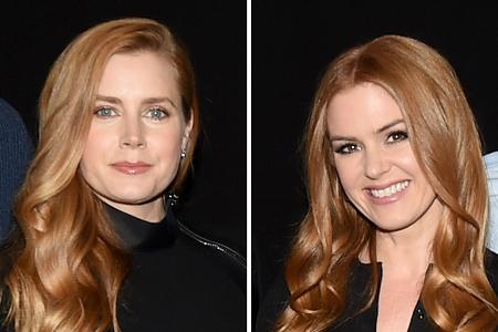 Amy Adams und Isla Fisher