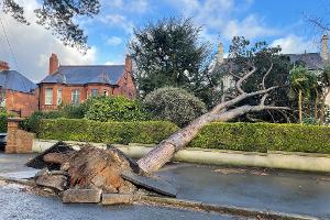 Weiterer Toter nach Sturm Éowyn - Tausende ohne Strom