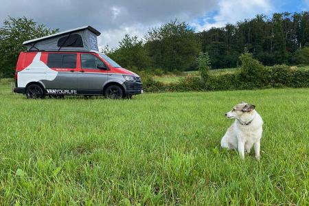Flowcamper Fellschnute Campervan T6.1 Basis