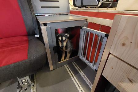 Flowcamper Fellschnute Campervan für Hunde-Fans