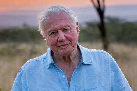 Sir David Attenborough, 98 Jahre