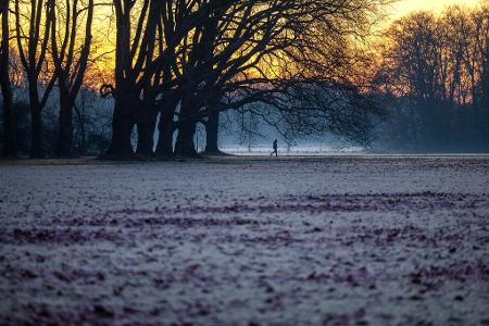 Die Woche startet in Deutschland vielerorts mit Sonne, Nebel und Frost.