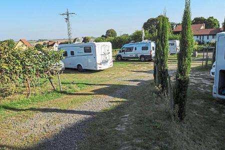 Stellplatz am Weingut Benß, Vorderpfalz