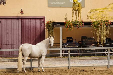Steiermark