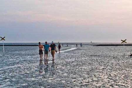 Hiking the Wadden Sea at low tide