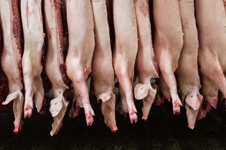 Die Schlachtmenge bei Schweinefleisch ist zuletzt um 1,9 Prozent gestiegen. Die Schlachtmenge bei Schweinefleisch ist zuletzt um 1,9 Prozent gestiegen.
