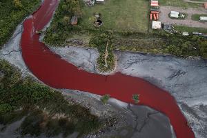 "Fluss aus Blut": Bach in Argentinien färbt sich rot