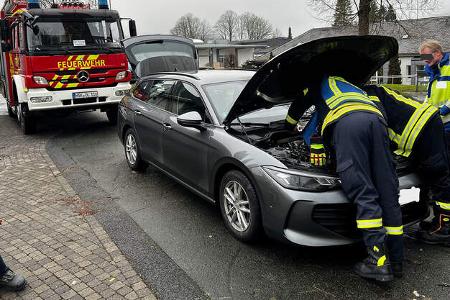 Katze im Motorraum