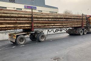 Bisschen viel Holz hinter der Hüttn!